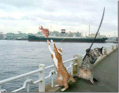 nice things  - pescuit-si-sfaturi-pentru-pescari.jpg